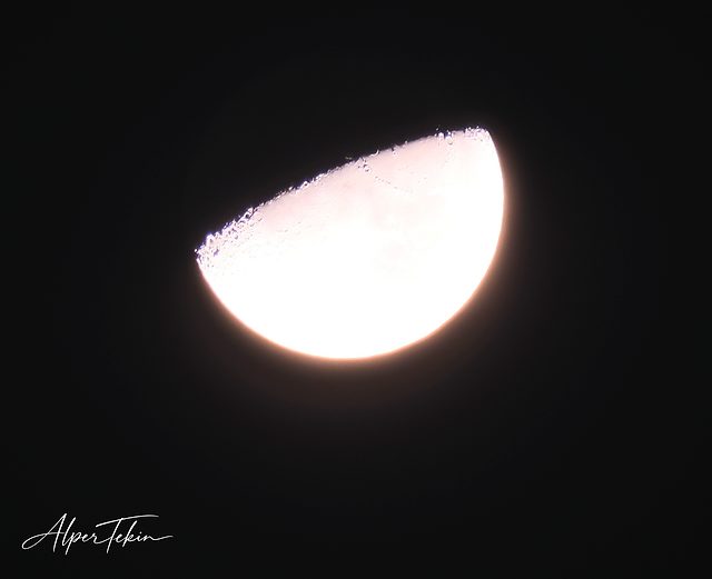 A bright white half moon against a black sky; small craters and shadows are visible along its upper terminator, with a faint orange halo around the edge.