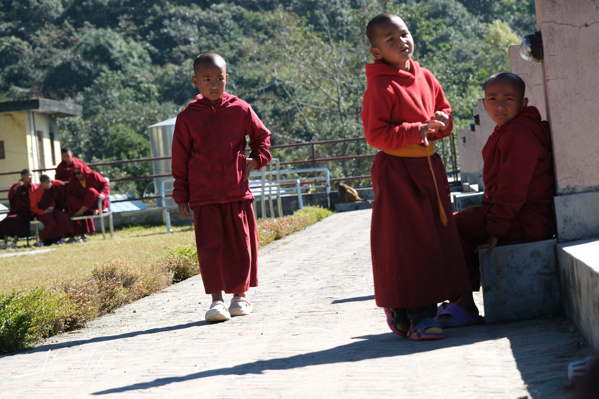 Three young monks in maroon robes on a sunlit paved path: one walking, one turned aside, one seated against a wall, with forested hills and more monks behind.