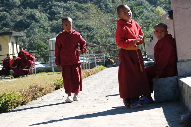 Three young monks in maroon robes on a sunlit paved path: one walking, one turned aside, one seated against a wall, with forested hills and more monks behind.