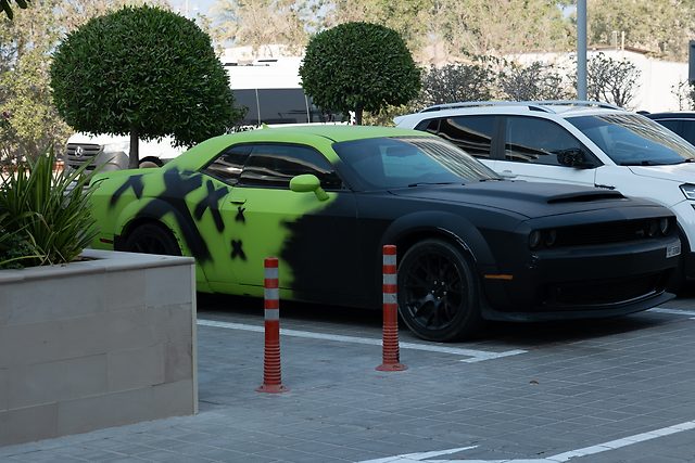 Park halindeki yeşil-siyah boyalı spor coupe; gövdede siyah X desenleri, önde turuncu-beyaz kazıklar, arkada yuvarlak budanmış ağaçlar ve beyaz SUV.