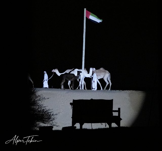 On a sand ridge against a black night sky, the UAE flag flies above two men in white and several camels; a bench silhouette sits in the foreground.