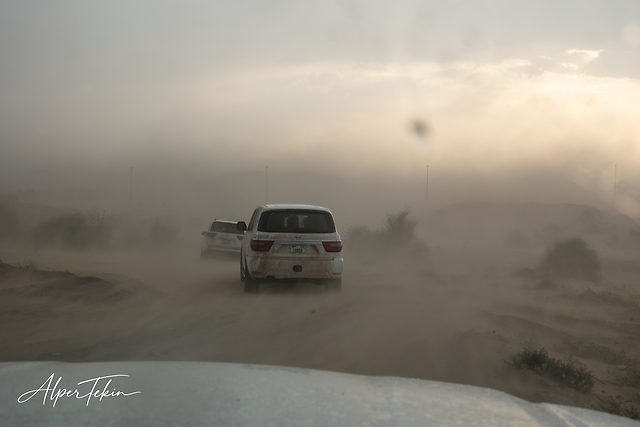 Two white SUVs drive along a dusty track through a thick haze, with blurred shrubs behind and a hazy beige sky near sunset.