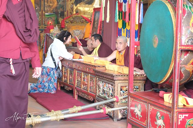 Inside a Tibetan-style temple, a woman in a floral skirt kneels at a carved red table, facing seated monks in orange, beside a large green drum.